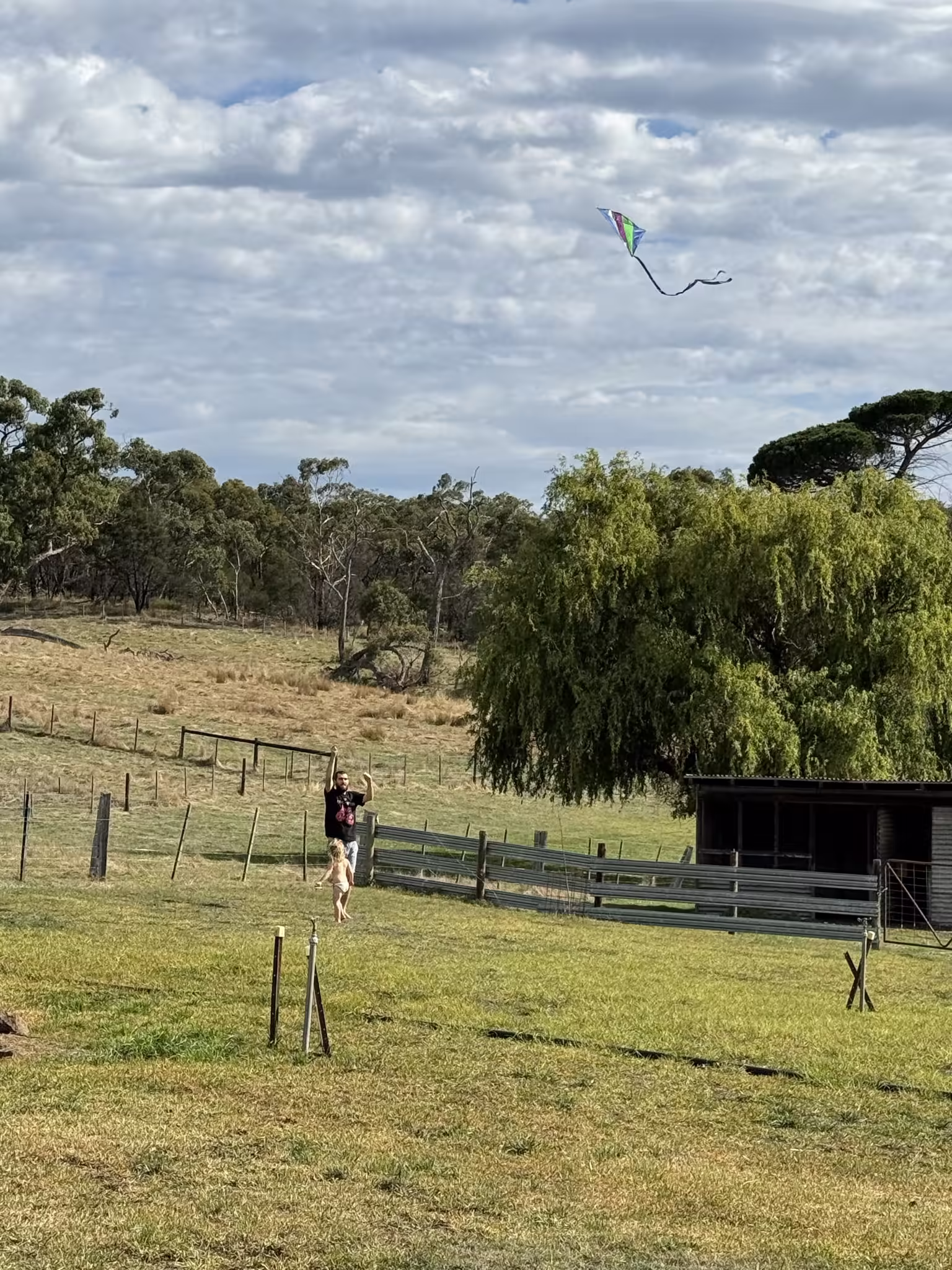 Flying a kite in an open green paddock