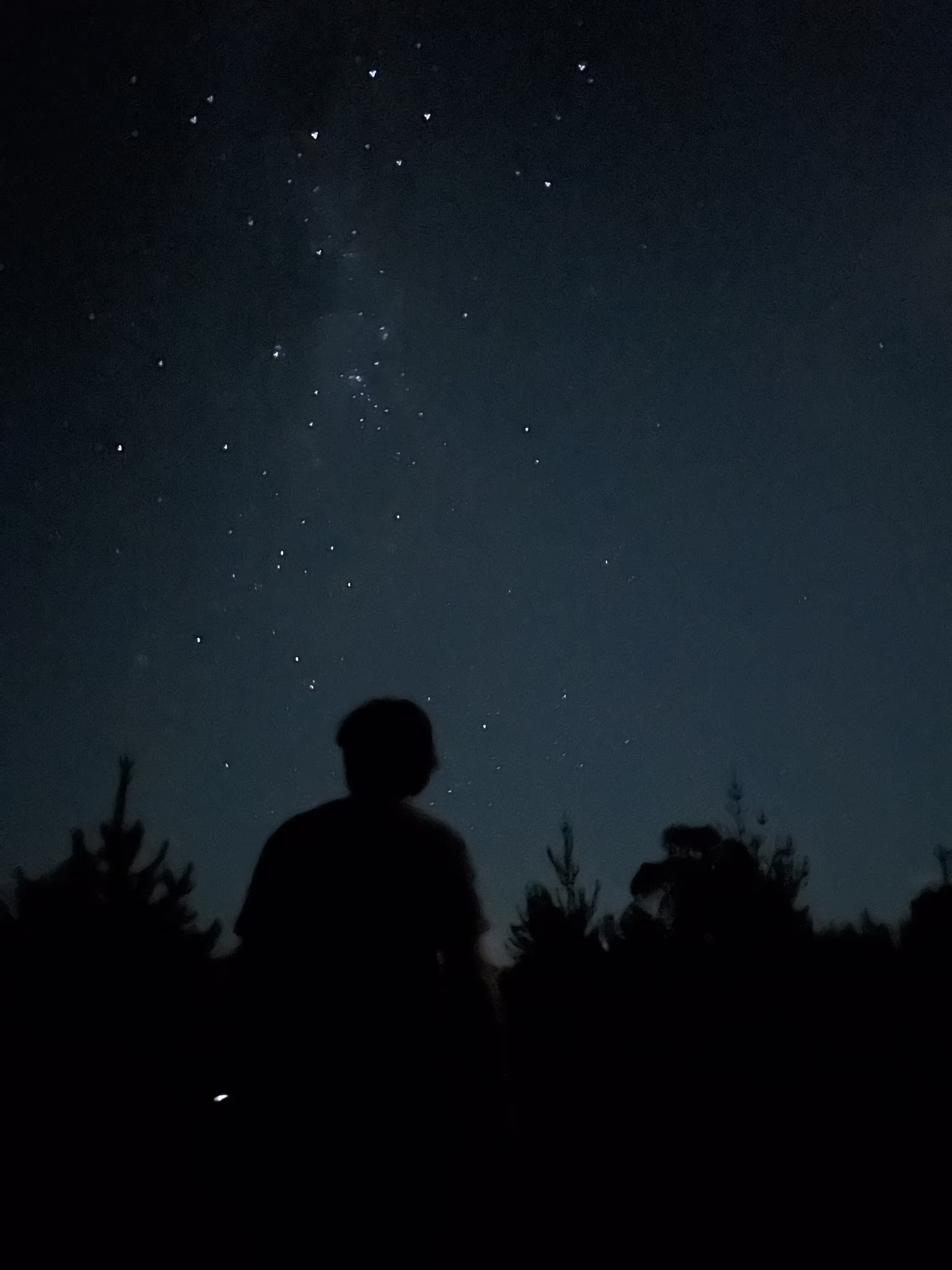 A person silhouetted against the Milky Way above the treeline