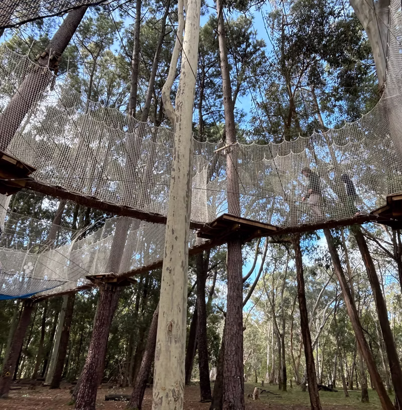 A tree-top adventure outdoors